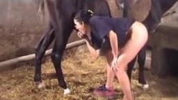 Порно с конём женщины в очках. Хорсе секс видео