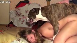 Zoo porno ru - ебля собаки с колхозной девкой в квартире TemRussia