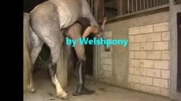 Конь изнасиловал парня в женской одежде, анальное порно с животным