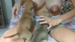 Щёки собаки ласкают большие соски женщины