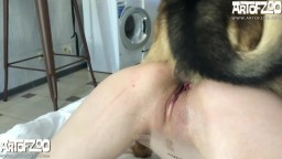 Худентку девушку ебет овчарка з узлом в киску, зоо секс артофзоо